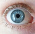 Thumbnail for version as of 23:13, 8 April 2012